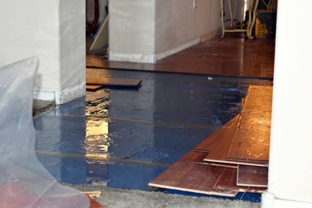 Professional Sewage Cleanup technician working in Stover, MO